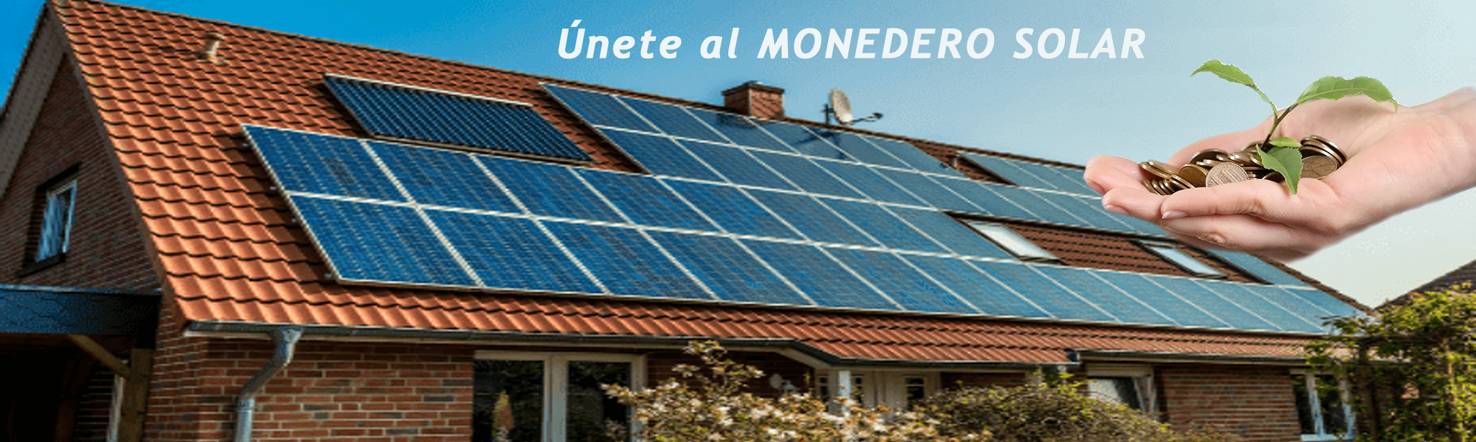 Detalle Facturación Monedero Solar